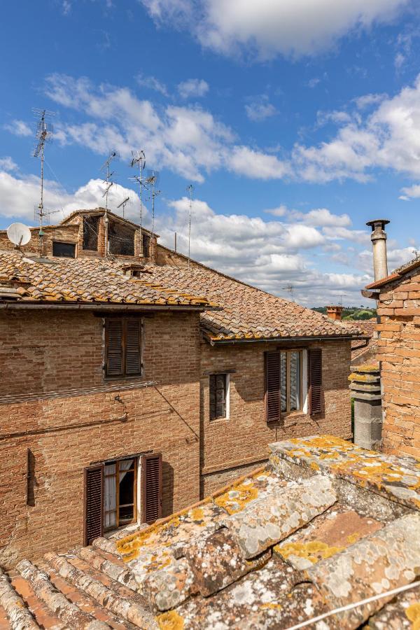 Il Nido Apartment Buonconvento Exterior photo